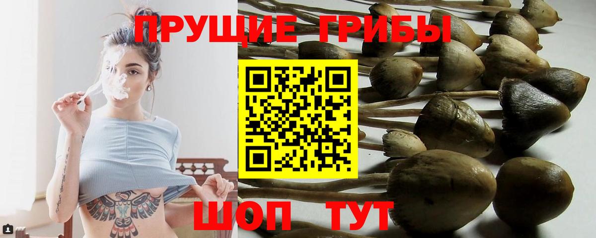 Псилоцибиновые грибы Magic Shrooms  Псилоцибиновые грибы мицелий  Вход с VPN  где купить наркоту  Карпинск 
